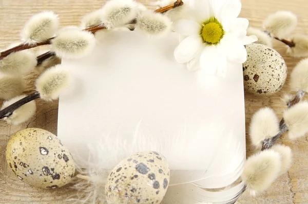 Boş kartı Paskalya selamlar ahşap tahta, yumurta, kedicikler, tüy — Stok fotoğraf