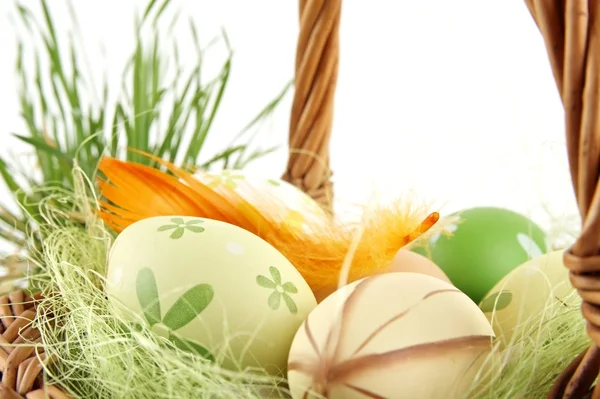 Closeup προβολή πολύχρωμο Πασχαλινά αυγά, catkins σε καλάθι — Φωτογραφία Αρχείου