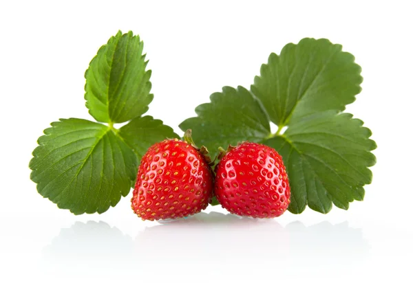 Dos fresas enteras con hojas aisladas sobre un blanco — Foto de Stock