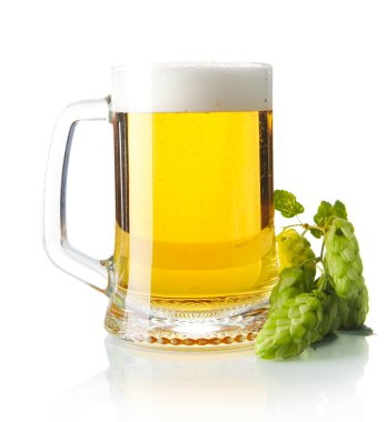 Bir bardak bira üzerinde beyaz izole hop koniler ile masada