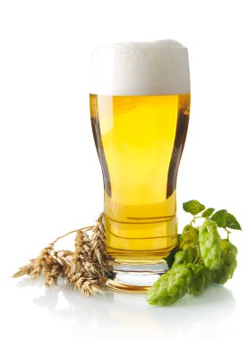 Bira hop koniler, kulakları w izole buğday ile masada bir fincan