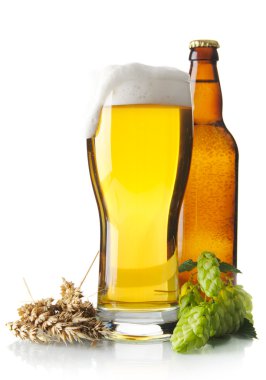 Mug of beer on table with hop cones, ears of wheat isolated on white clipart