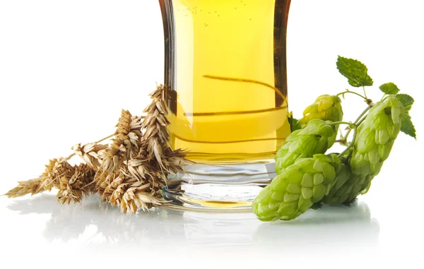 Tasse coupée de bière sur table avec cônes de houblon, épis de blé isolés sur blanc — Photo