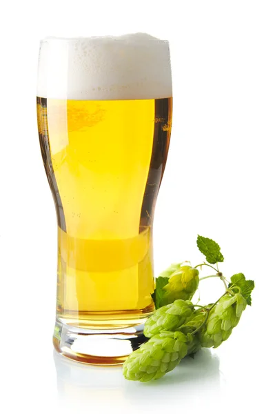 Pint bier op tafel met hopbellen geïsoleerd op wit — Stockfoto
