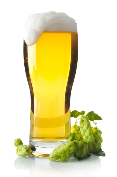 Pint bier op tafel met hopbellen geïsoleerd op wit — Stockfoto