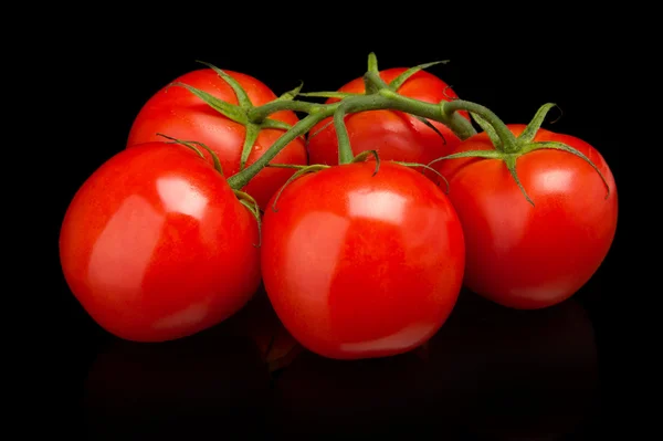 Few tomatoes isolated on black background — Stock Photo, Image