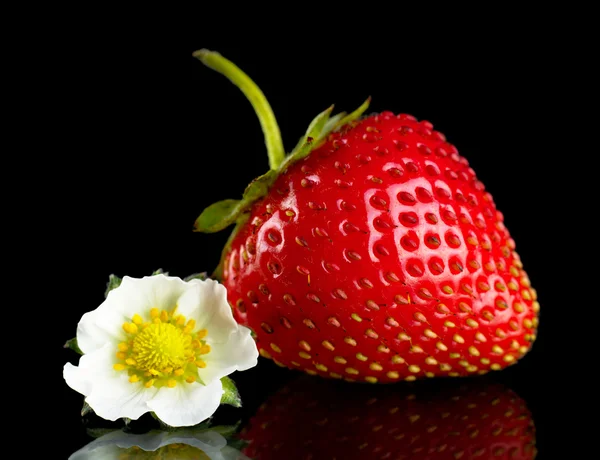 Single whole strawberry with flower on black — Stock Photo, Image