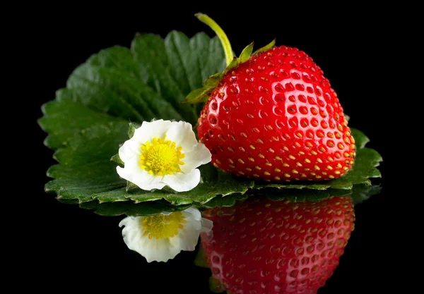 Macro whole strawberry with leaf and flower isolated on black — Stock Photo, Image