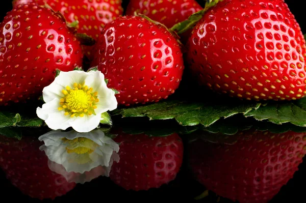 Peu de fraises entières isolées avec des feuilles sur noir — Photo