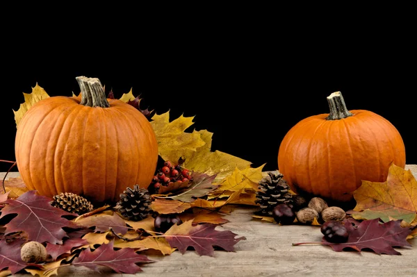 Pumpkins with autumn leaves for thanksgiving day on black backgr — Stock Photo, Image