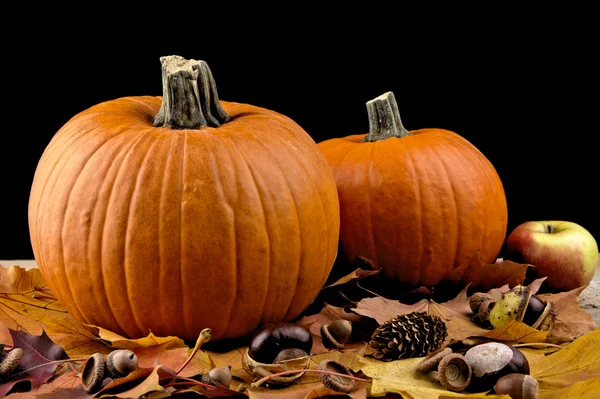 Kürbisse mit Herbstblättern zum Erntedank auf schwarzem Hintergrund — Stockfoto