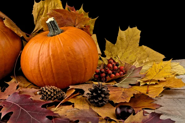 Pompoen met herfst bladeren voor thanksgiving day op zwarte backgro — Stockfoto