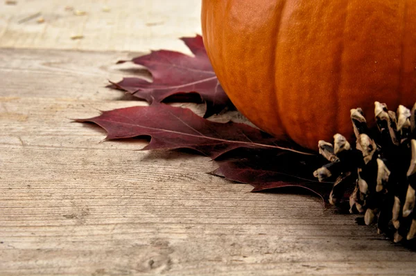 Closeup view of pumpkin with autumn leaves for thanksgiving day — Stock Photo, Image