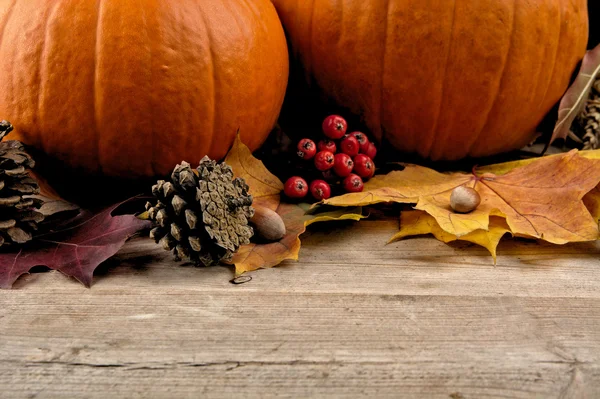 Calabazas con hojas de otoño para el día de acción de gracias — Foto de Stock