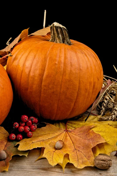 Calabazas con hojas de otoño para el día de acción de gracias sobre fondo negro —  Fotos de Stock