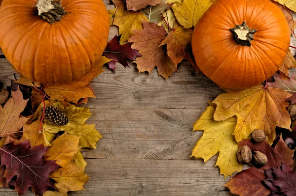 Pumpkins with autumn leaves seen bird's eye view for thanksgivin — Stock Photo, Image