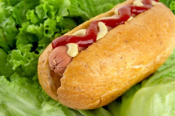 Hotdog com mostarda e ketchup com alface no fundo — Fotografia de Stock
