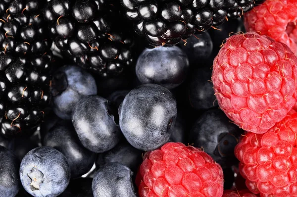Background of sorted fresh various berries — Stock Photo, Image