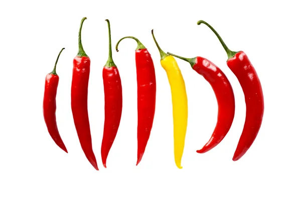 Different pepper stand out from the crowd in line isolated — Stock Photo, Image