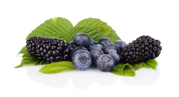 Assortment of blueberries,blackberries leaves isolated white — Stock Photo, Image