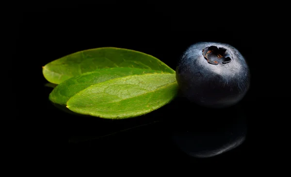 Studio girato mirtilli freschi con foglie isolate nero — Foto Stock