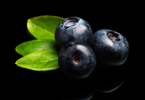 Macro closeup view blueberries leaves isolated black — Stock Photo, Image