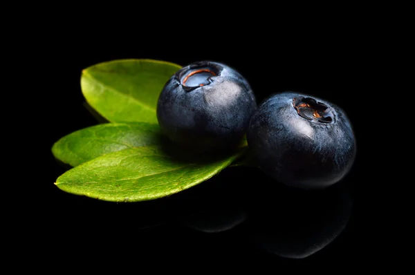 Macro closeup view blueberries leaves isolated black — Stock Photo, Image