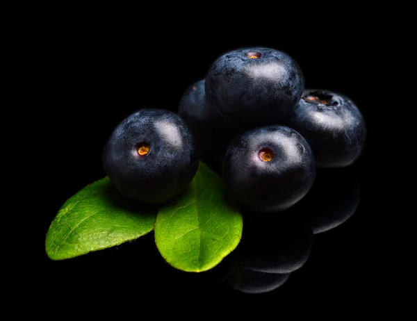 Macro closeup view blueberries leaves isolated black — Stock Photo, Image
