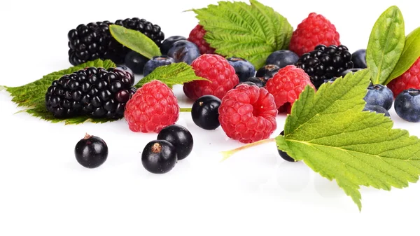 Sortiment von verschiedenen Beeren isoliert weiß — Stockfoto