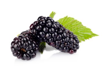 Studio shot of two fresh blackberries with leaves isolated white clipart