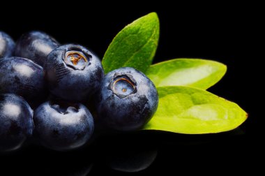 Makro closeup görünümü yaban mersini yaprağı izole siyah 