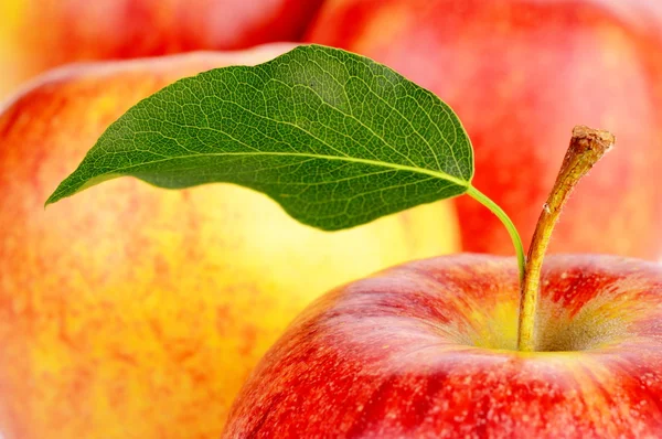 Фон из многих яблок с листьями — стоковое фото