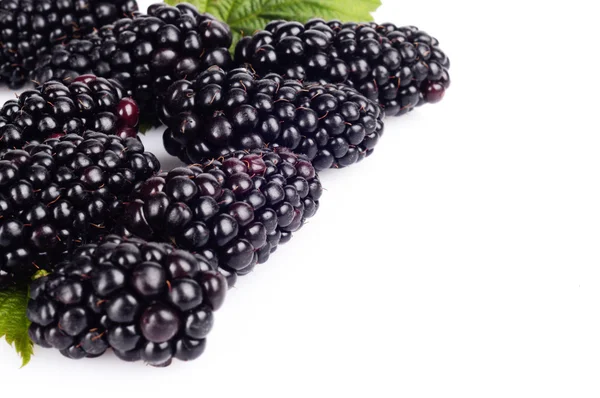 Macro photo of fresh blackberries right side white — Stock Photo, Image