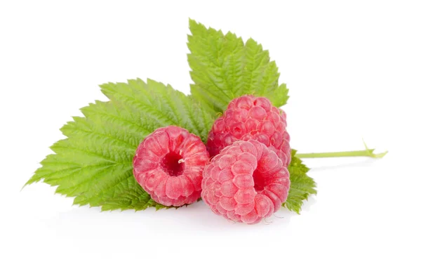 Three raspberries with leaf isolated on white — Stock Photo, Image