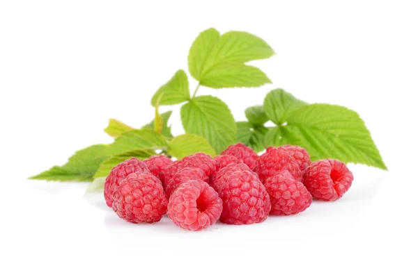 Wenige Himbeeren mit Blättern isoliert auf weiß — Stockfoto