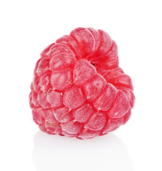 Closeup view macro one raspberry isolated on white — Stock Photo, Image