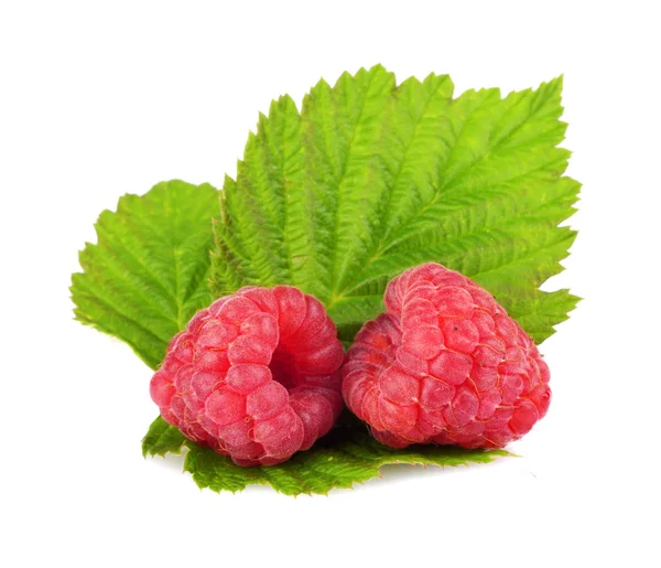 Two raspberries with leaf isolated on white — Stock Photo, Image