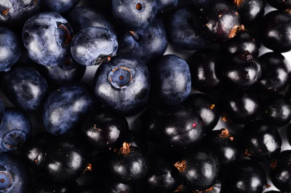 Macro closeup view group fresh blueberries and blackcurrants background — Stock Photo, Image