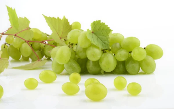 Ramo de uvas blancas sobre ramas blancas con hojas de vid — Foto de Stock