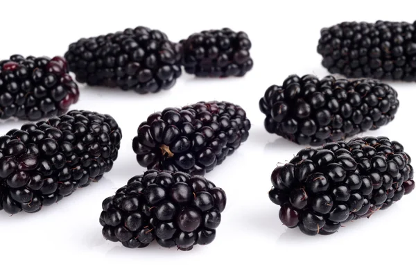 Studio shot of many fresh blackberries isolated white — Stock Photo, Image