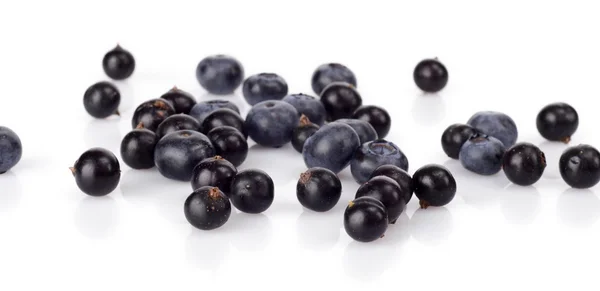 Several scattered blueberries isolated on white — Stock Photo, Image
