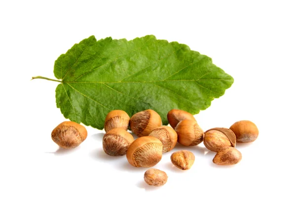 Wild hazelnuts with shell with leaf isolated — Stock Photo, Image