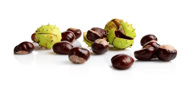 Horizontally many chestnuts isolated on white background — Stock Photo, Image
