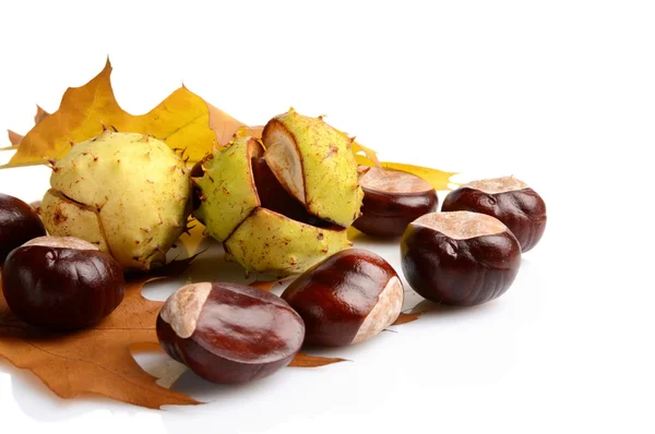 Group of many chestnuts in the corner with autumn leaves — Stock Photo, Image