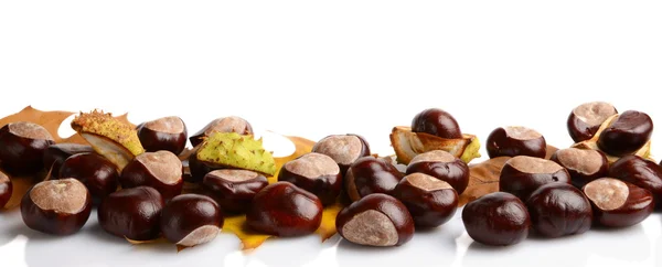 Horizontally many chestnuts with autumn leaves on white background — Stock Photo, Image