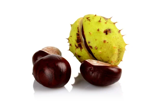 Closeup shot few chestnuts isolated on white background — Stock Photo, Image