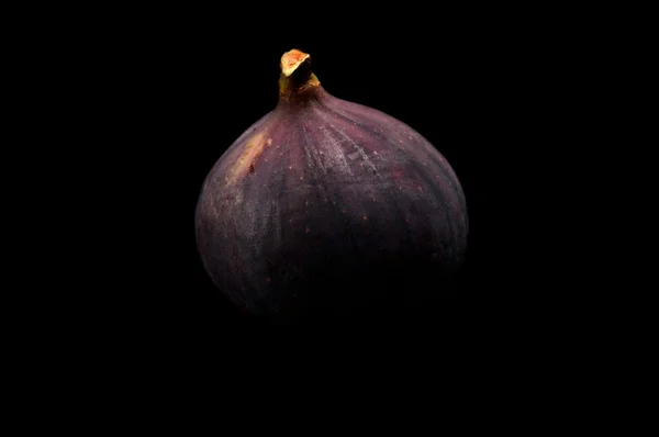 Una higuera aislada en negro — Foto de Stock