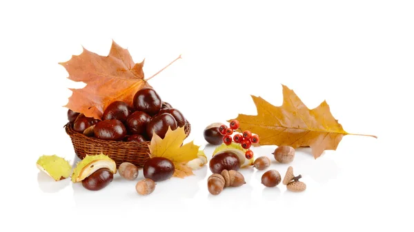 Closeup basket with chestnuts and leaves isolated on white — Stock Photo, Image