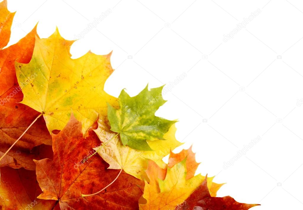 Autumn leaves in the corner isolated on white