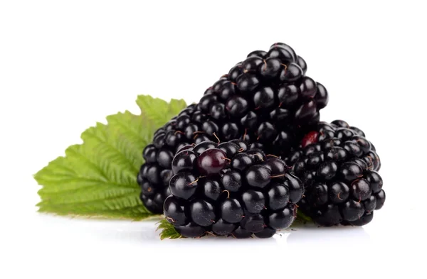 Studio shot of two fresh blackberries with leaves isolated white — Stock Photo, Image